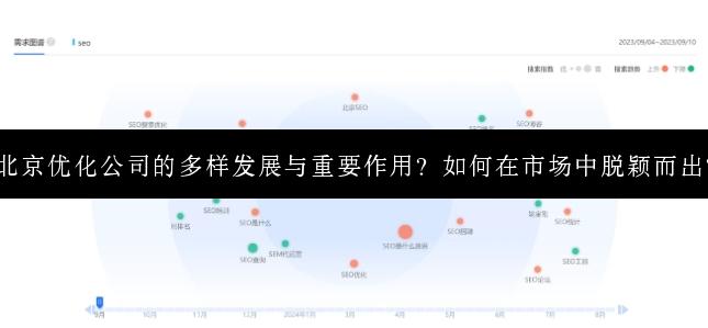 北京优化公司的多样发展与重要作用？如何在市场中脱颖而出？