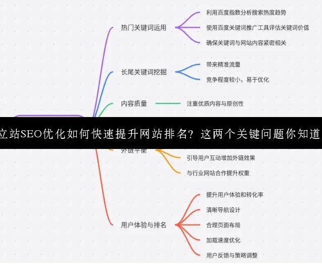 独立站SEO优化如何快速提升网站排名？这两个关键问题你知道吗？