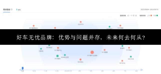 好车无忧品牌：优势与问题并存，未来何去何从？