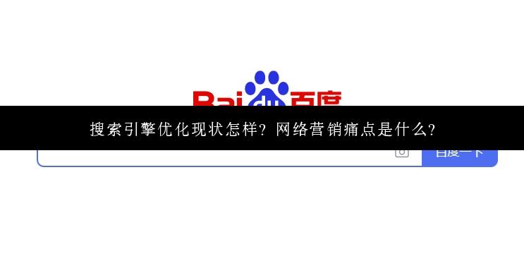 搜索引擎优化现状怎样？网络营销痛点是什么？